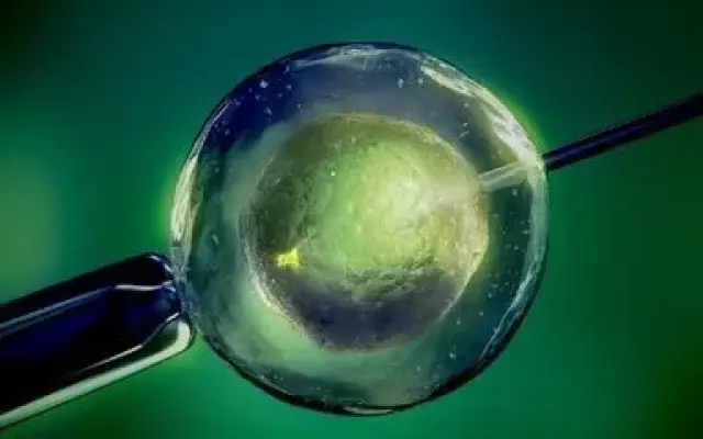 供卵代生医院代生包成功